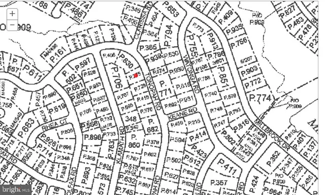 a view of grapes plant