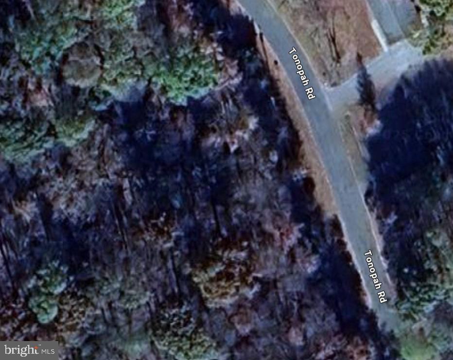 Tonopah Road Chestertown, MD 21620 - Photo 2 of 2 a view of grapes plant