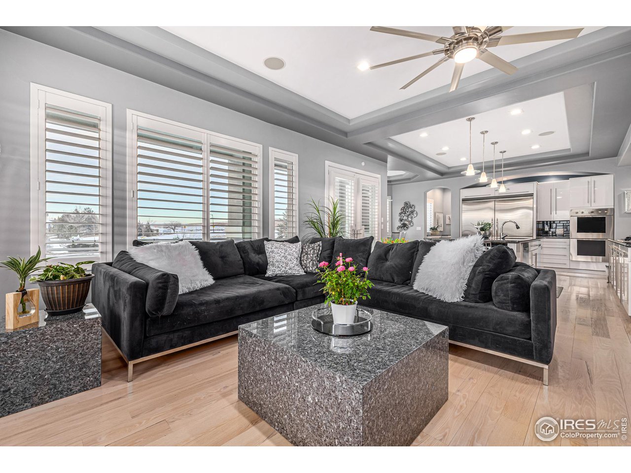 285 Commander Drive Erie, CO 80516 - Photo 15 of 40 a living room with furniture potted plant and a window