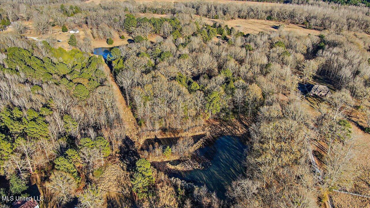 2400 Stigger Road Jackson, MS 39209 - Photo 11 of 21 12-2400 Stigger Rd