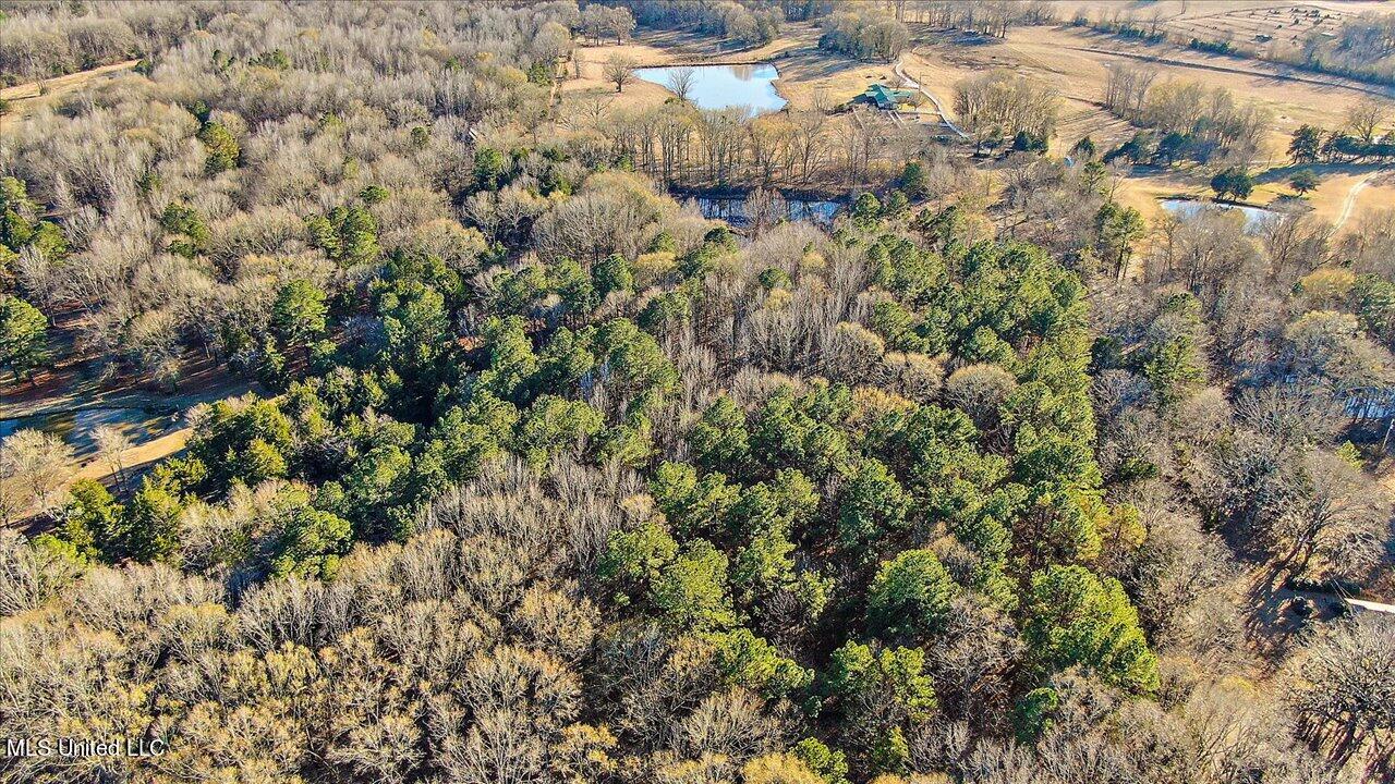 2400 Stigger Road Jackson, MS 39209 - Photo 14 of 21 09-2400 Stigger Rd