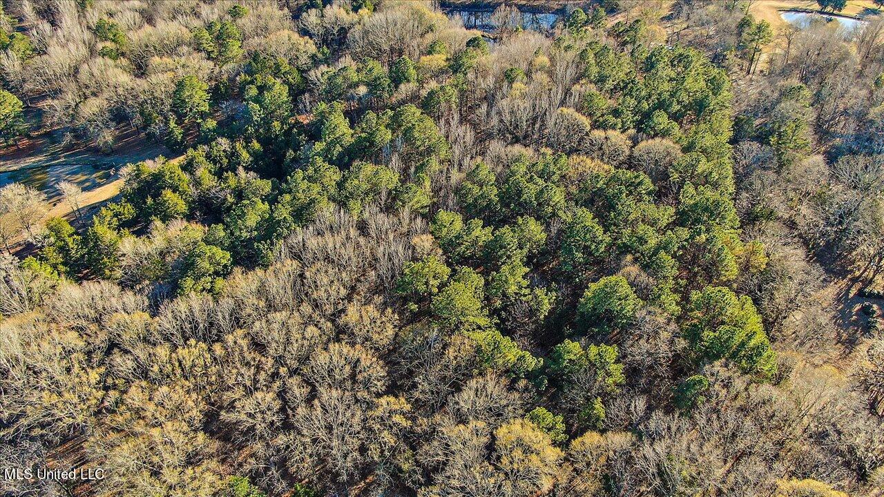 2400 Stigger Road Jackson, MS 39209 - Photo 15 of 21 07-2400 Stigger Rd