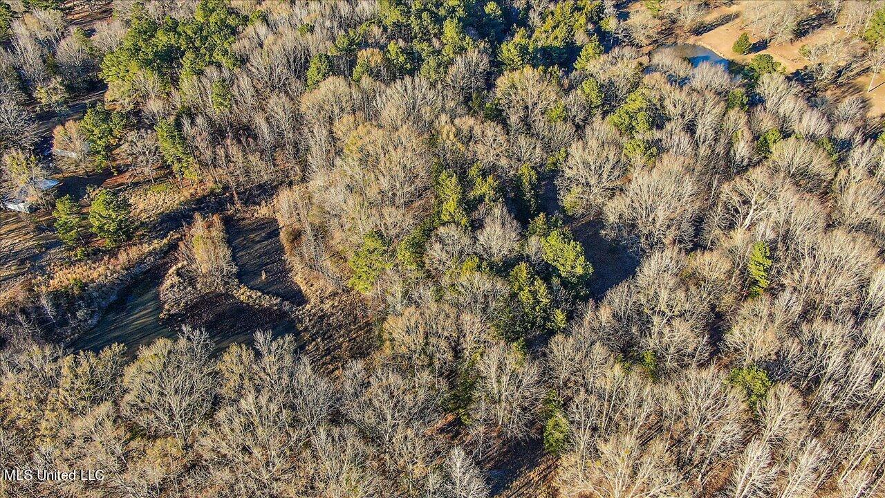 2400 Stigger Road Jackson, MS 39209 - Photo 3 of 21 20-2400 Stigger Rd