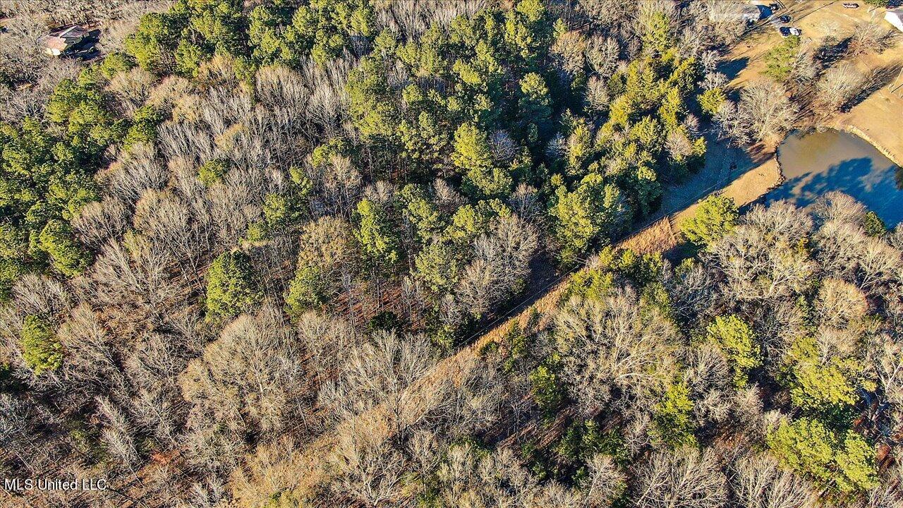 2400 Stigger Road Jackson, MS 39209 - Photo 4 of 21 19-2400 Stigger Rd