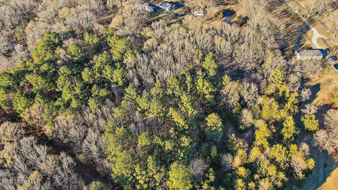 2400 Stigger Road Jackson, MS 39209 - Photo 5 of 21 18-2400 Stigger Rd