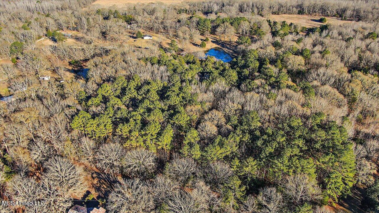 2400 Stigger Road Jackson, MS 39209 - Photo 8 of 21 15-2400 Stigger Rd
