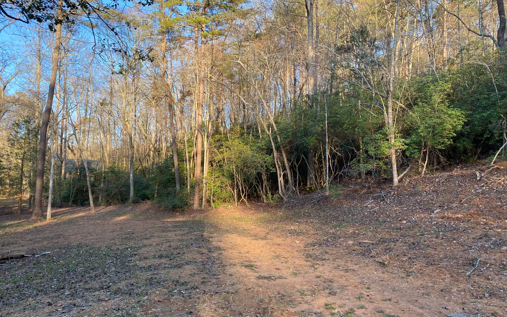 890 Jim Anderson Road Dahlonega, GA 30533 - Photo 31 of 39 Additional View