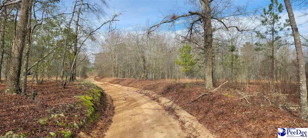 Tbd Fruitfarm Road Bennettsville, SC 29512 - Photo 1 of 1 Gallery Image 1