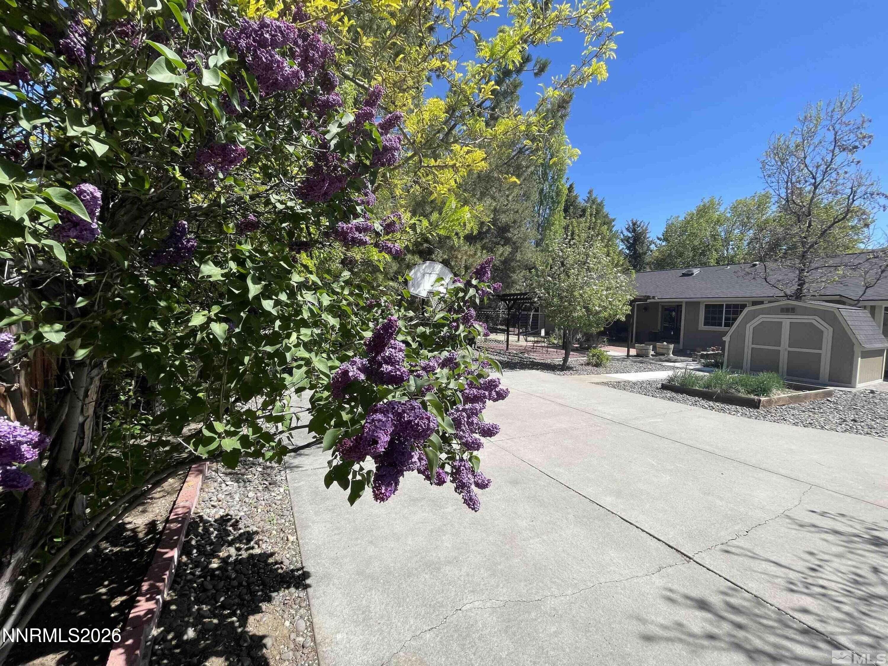 220 Lemming Drive Reno, NV 89523 - Photo 13 of 15 back 1