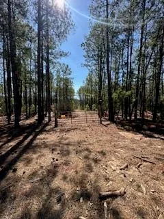 $499,000 | 0 Chalk Bed Road, Graniteville, SC 29829