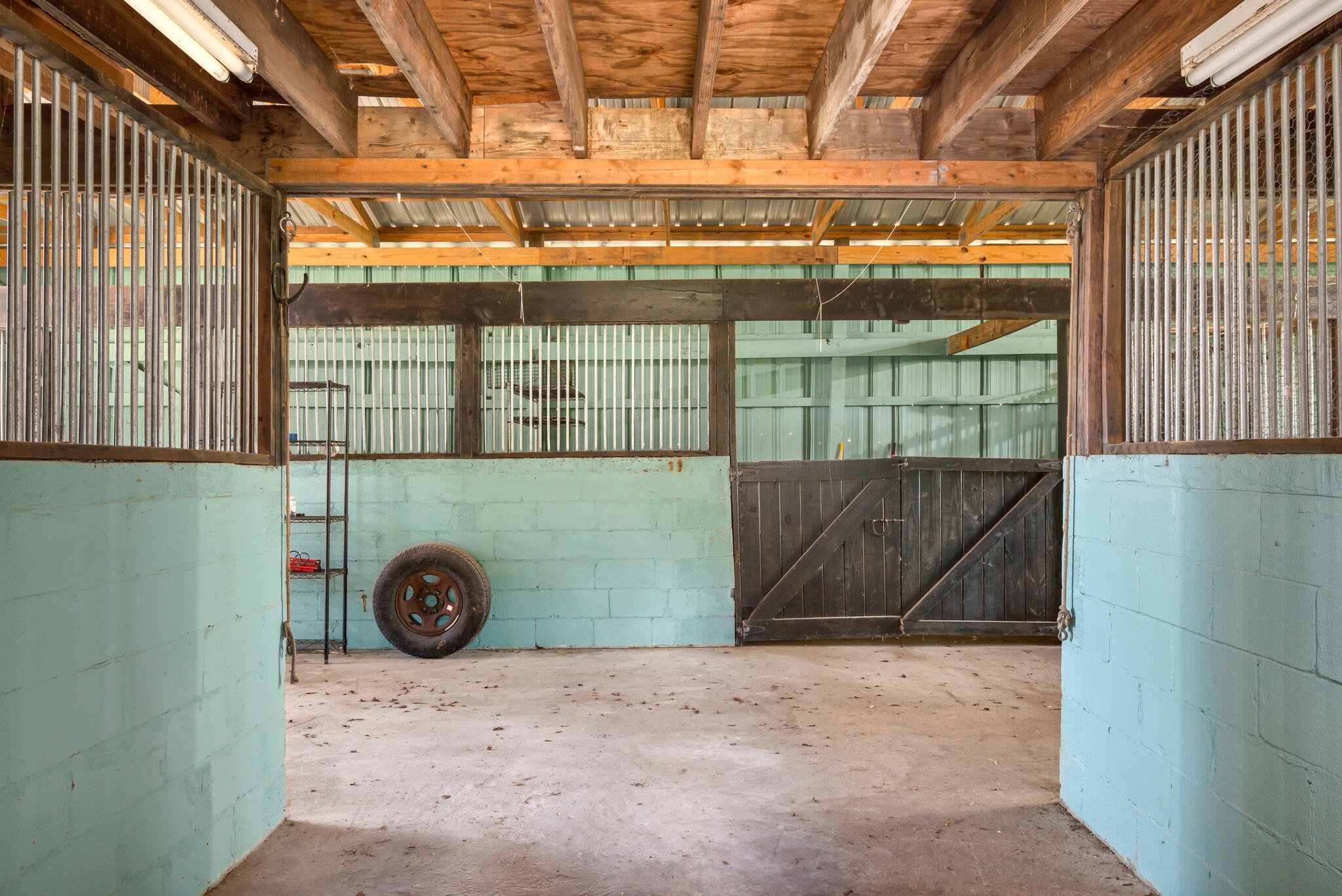 8427 Pettus Road Eagleville, TN 37060 - Photo 41 of 52