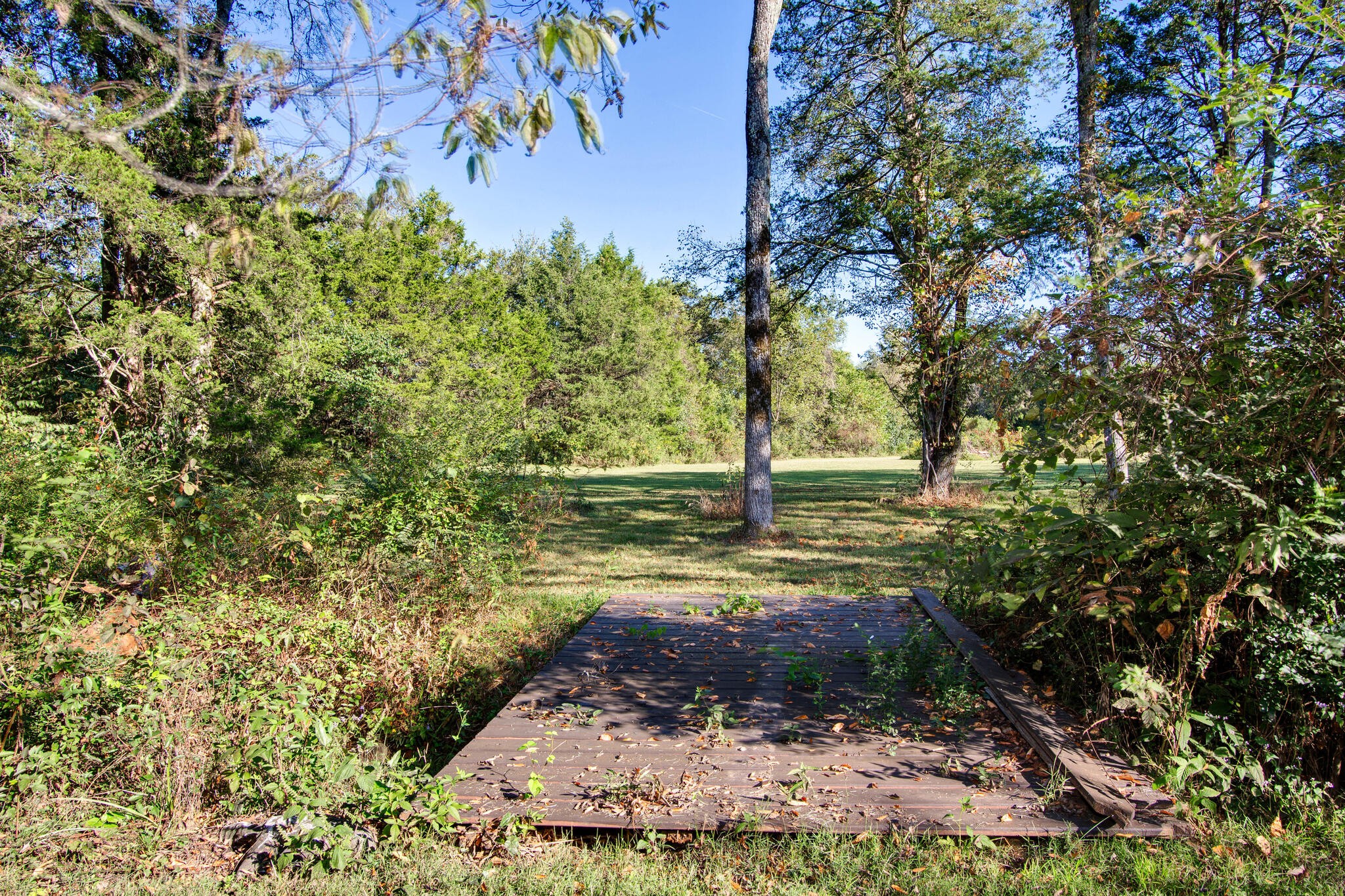 8427 Pettus Road Eagleville, TN 37060 - Photo 48 of 52