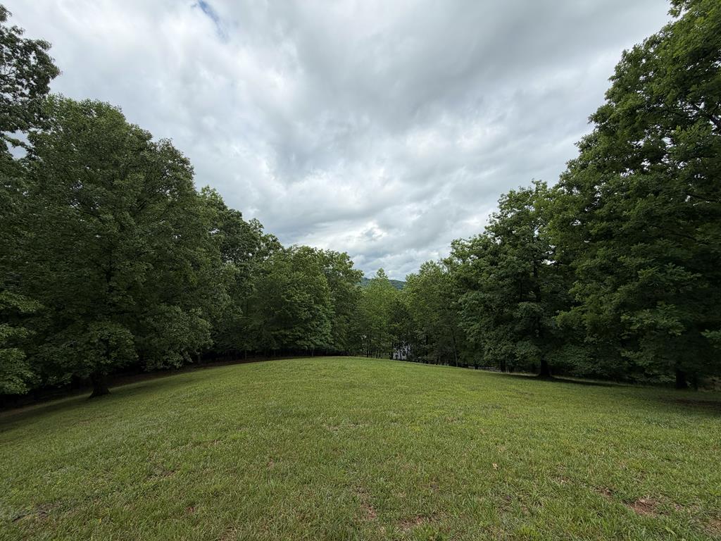 a view of a field with a trees in the background