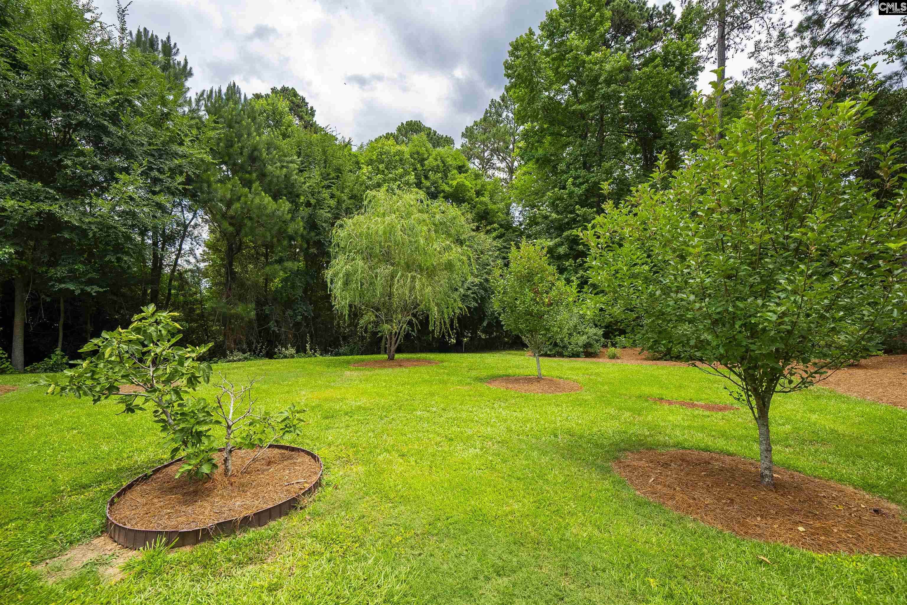 784 Coriander Road Blythewood, SC 29016 - Photo 82 of 97