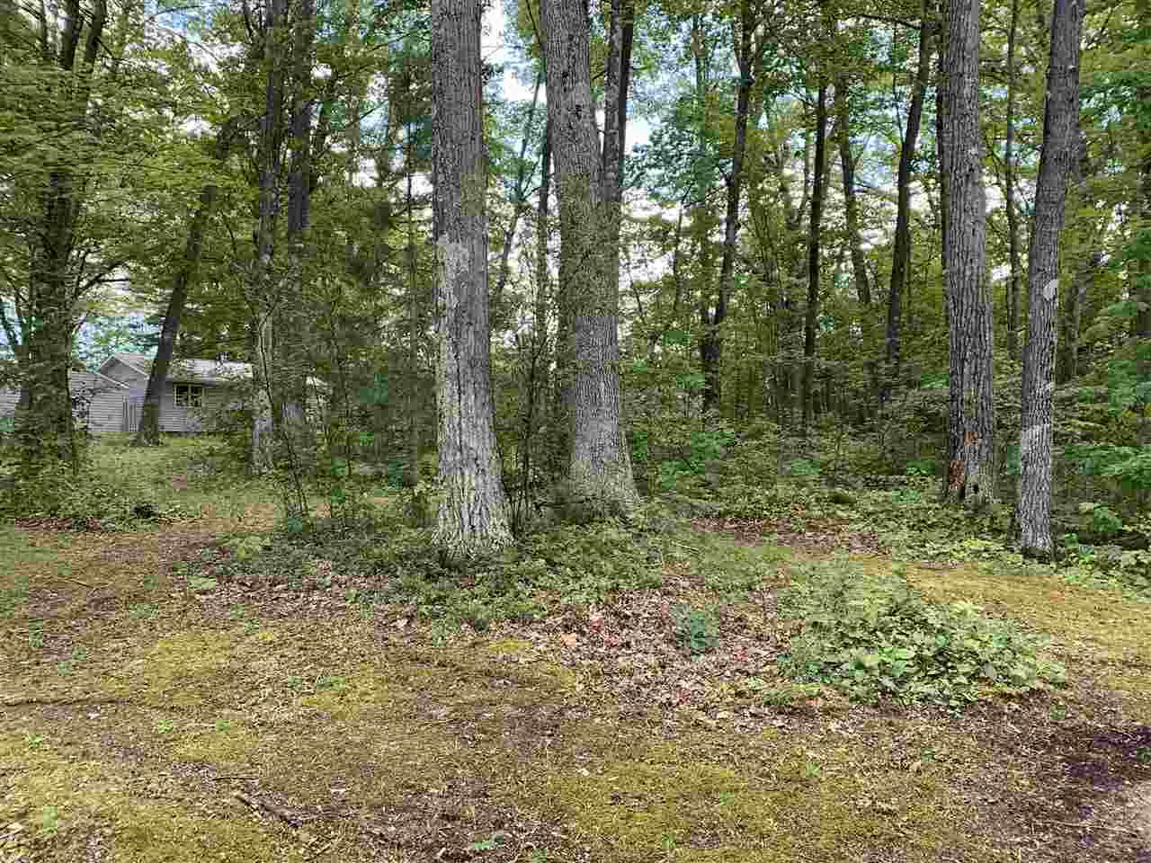 4407 Towerline Road Hale, MI 48739 - Photo 30 of 31 1879369-29.JPG