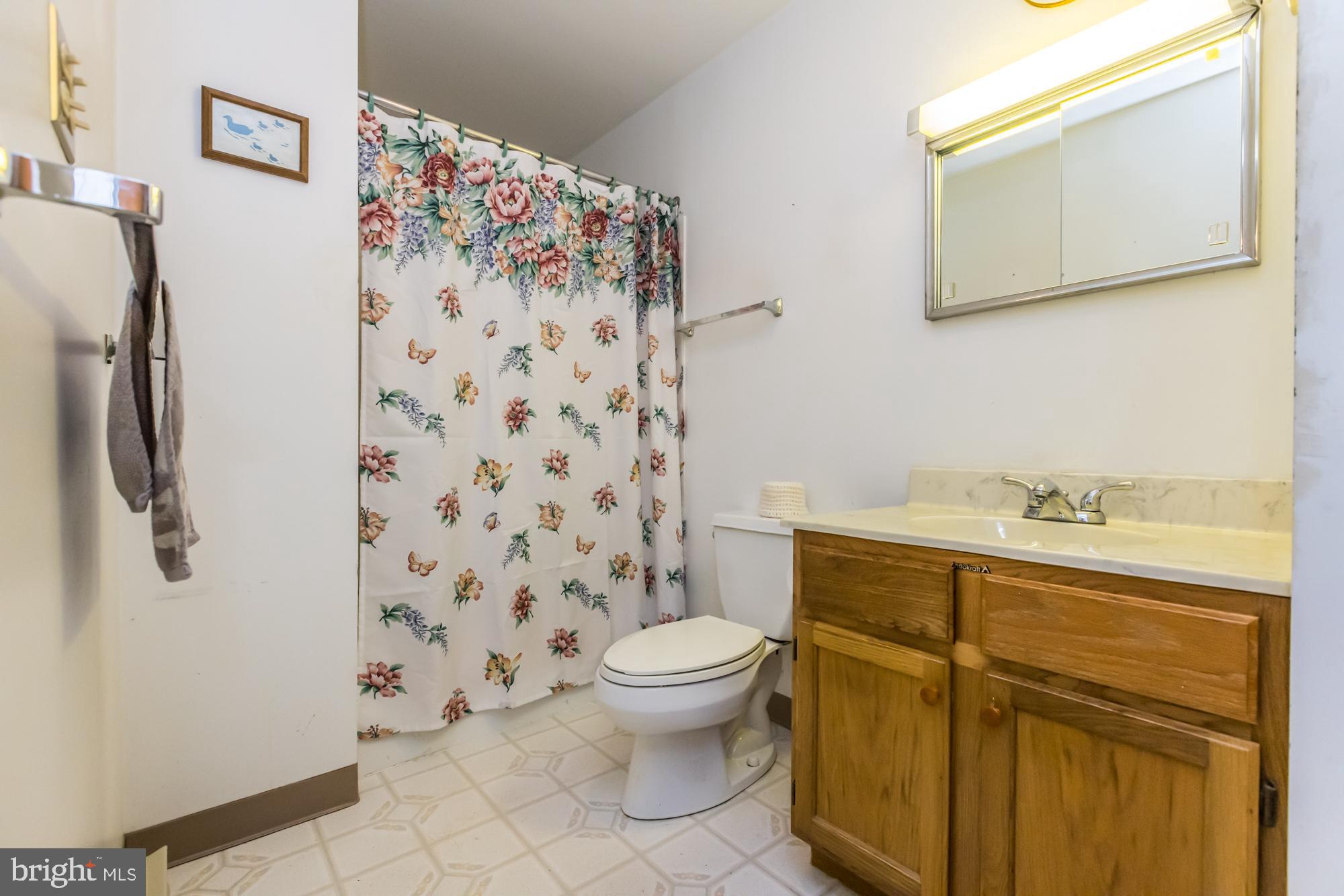 102 Grandview Road Downingtown, PA 19335 - Photo 43 of 43 MIL suite bath
