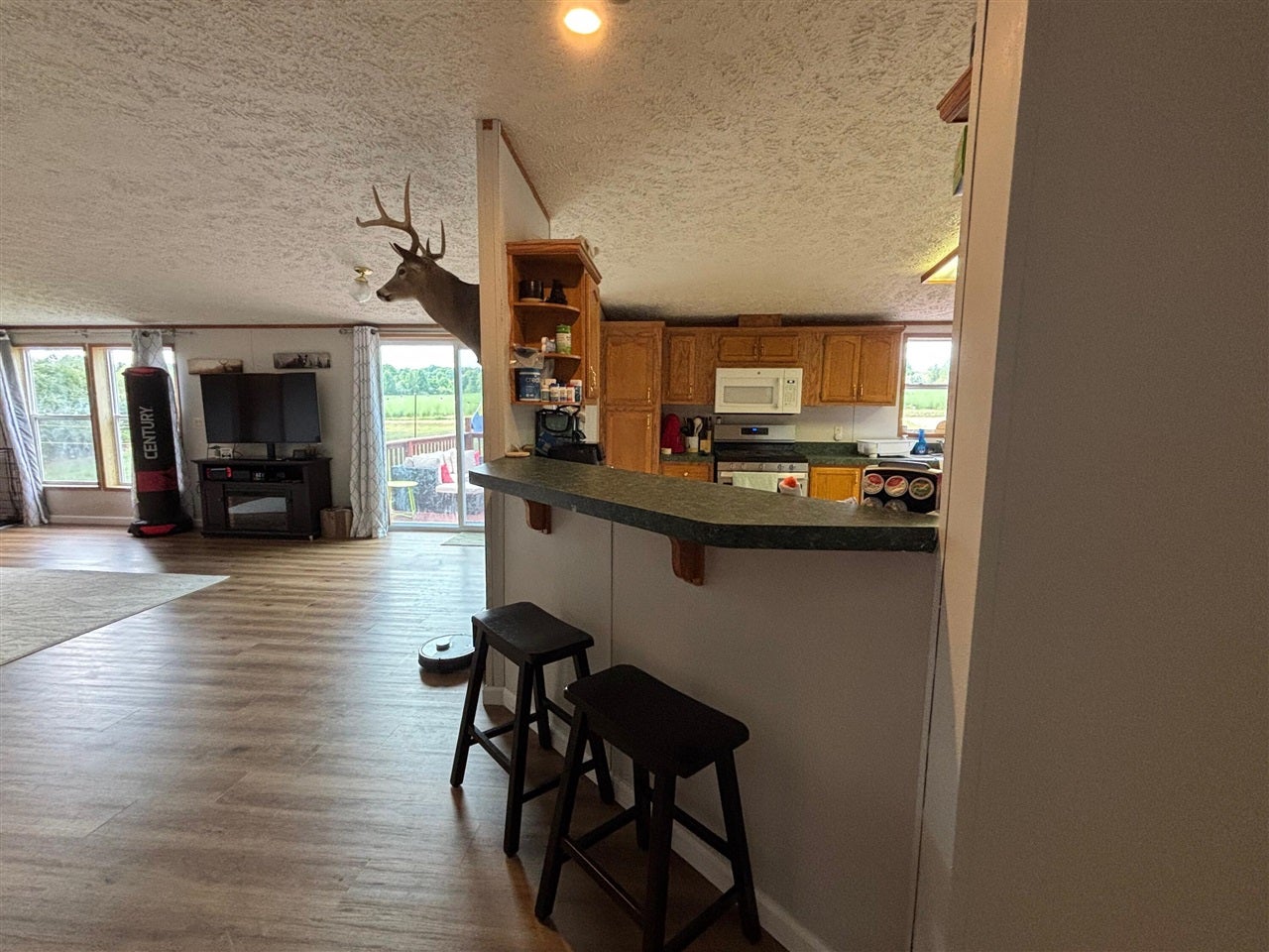 2905 East Jackson Road Walkerville, MI 49459 - Photo 11 of 64 Gallery Image 11