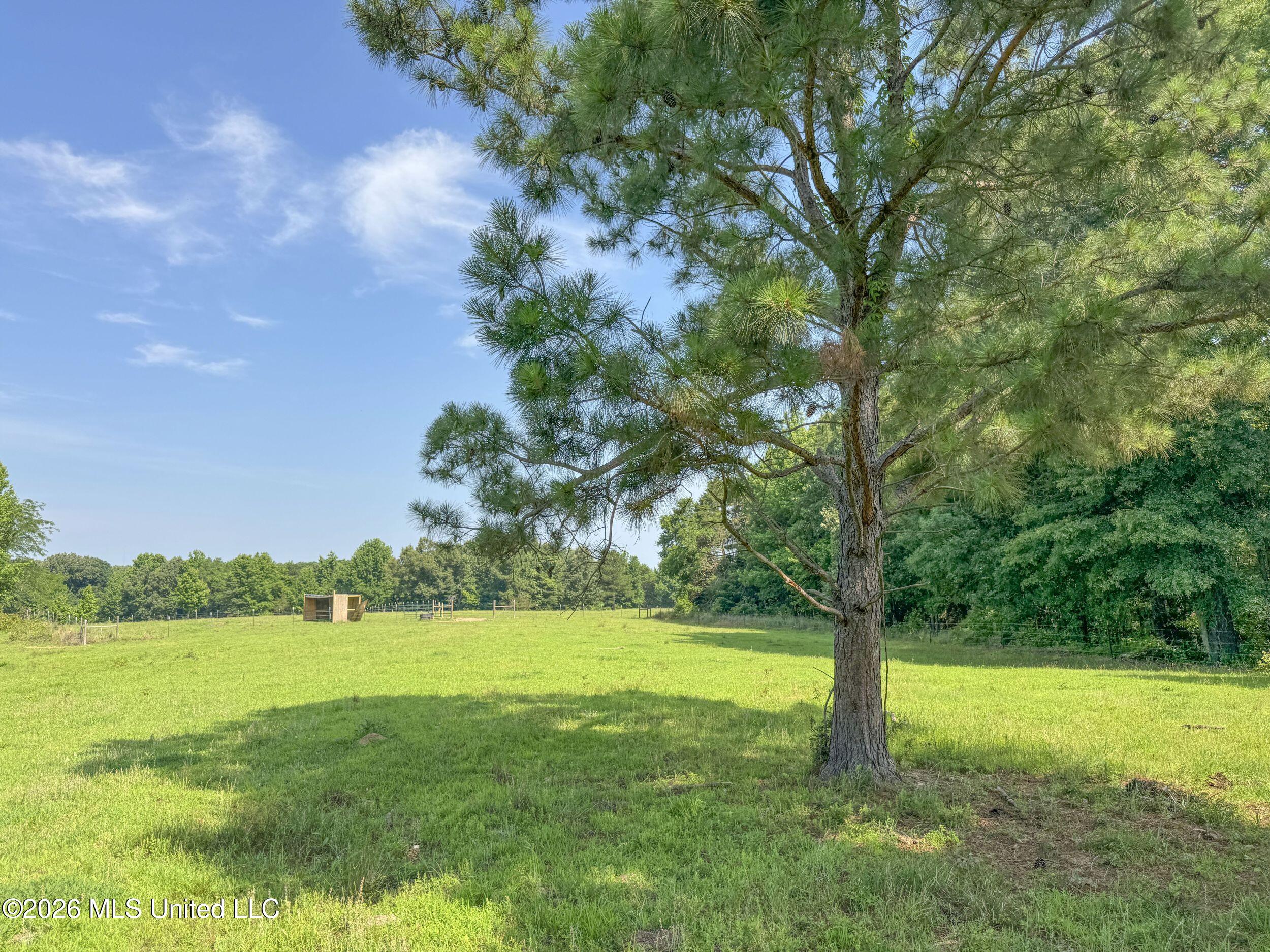 2169 Slocum Road Hernando, MS 38632 - Photo 74 of 94 8slcm33