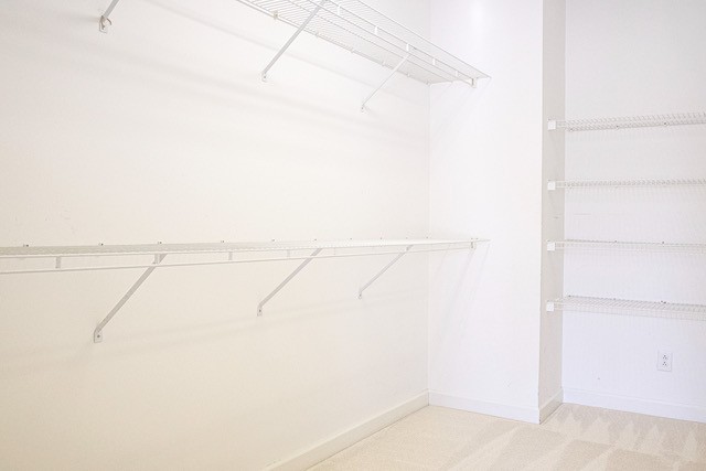 200 Champions Drive Springfield, TN 37172 - Photo 29 of 55