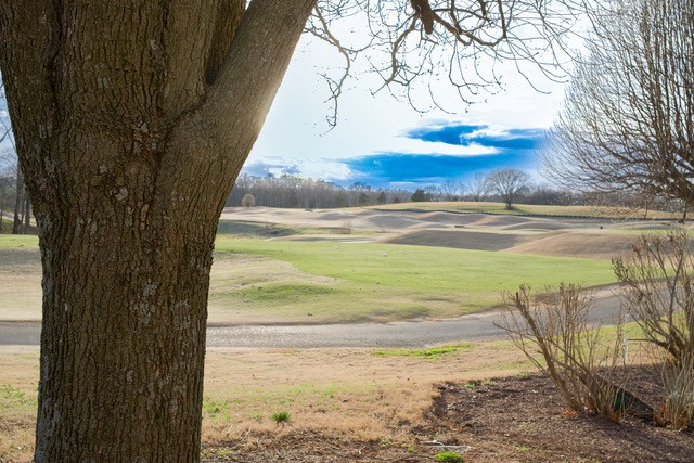 200 Champions Drive Springfield, TN 37172 - Photo 6 of 55