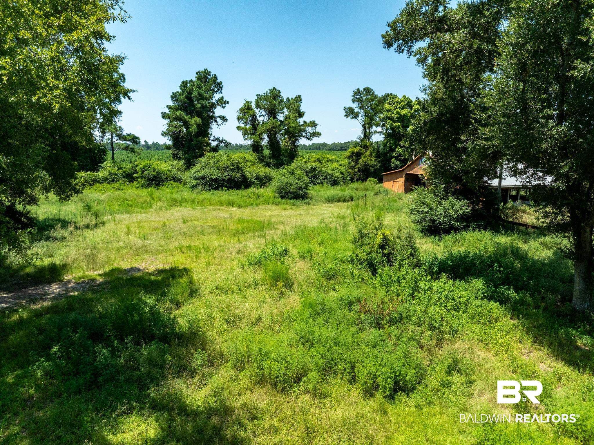15303 County Road 93 Lillian, AL 36549 - Photo 47 of 50