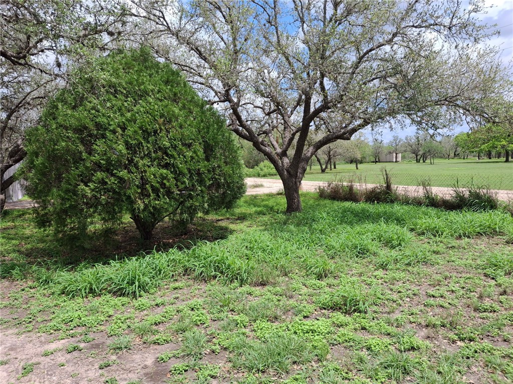 9213 Pvt 6005 Road Sinton, TX 78387 - Photo 24 of 24
