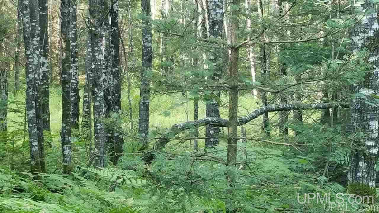 Tbd Fishing Site Road, Unit 1 Amasa, MI 49903 - Photo 7 of 19