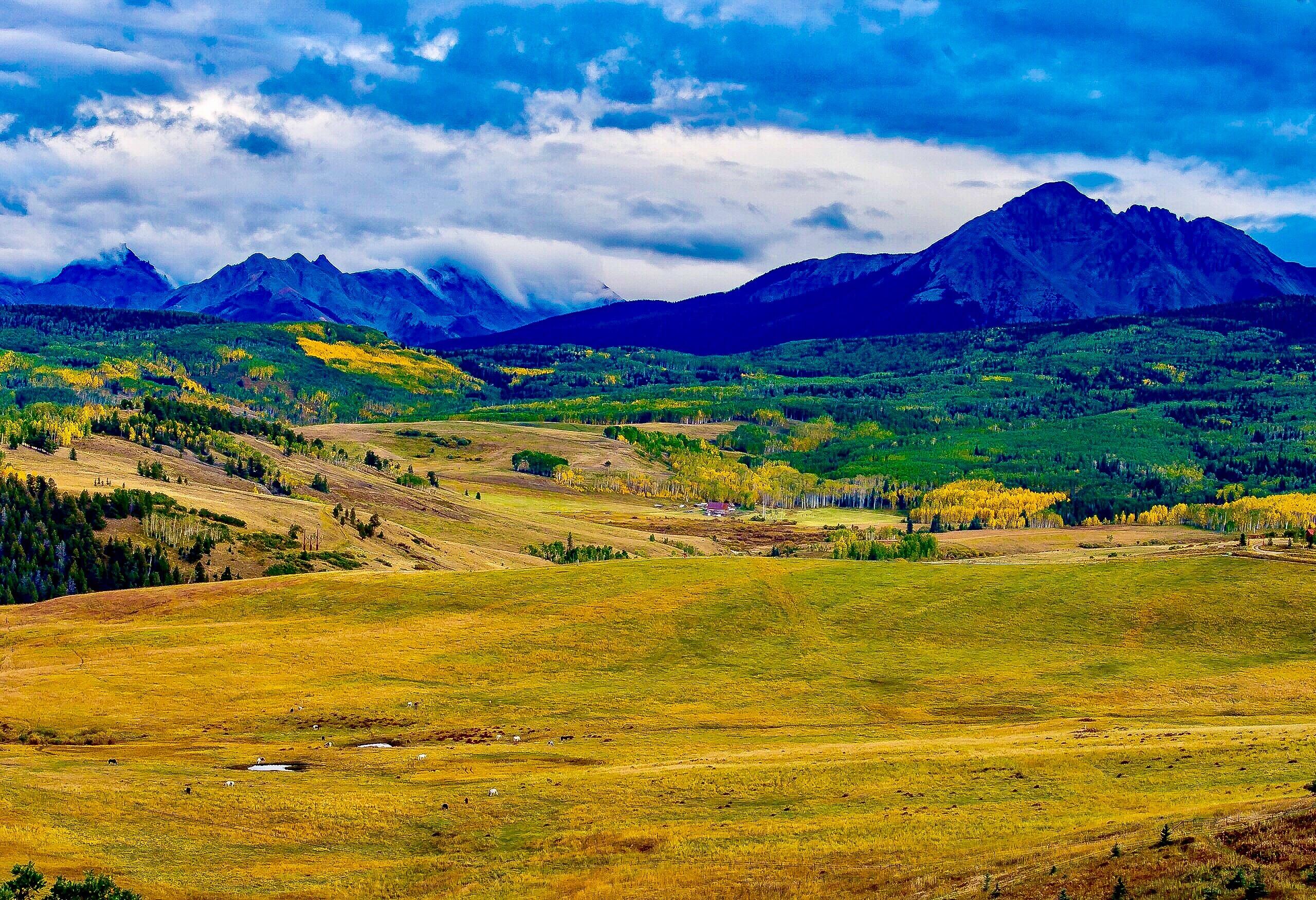 Tbd Whiteley Road Placerville, CO 81430 - Photo 15 of 35 Wilson Mesa 6