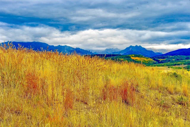 $1,100,000 | Tbd Whiteley Road, Placerville, CO 81430