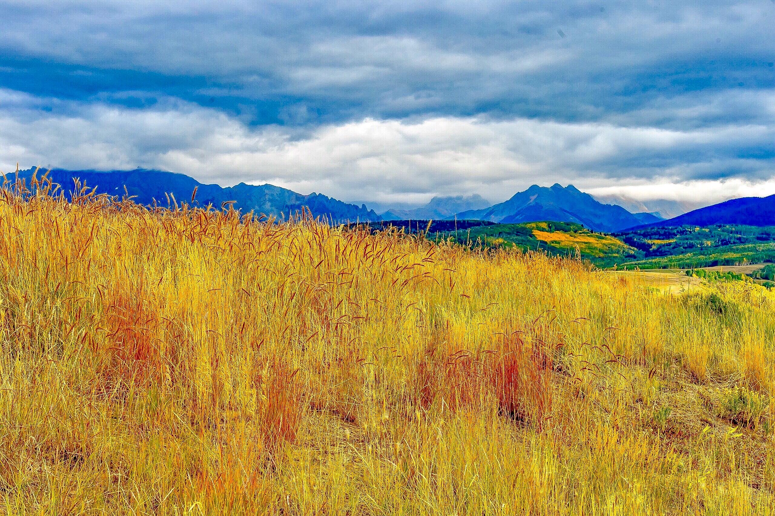 Tbd Whiteley Road Placerville, CO 81430 - Photo 16 of 35 Wilson Mesa 7