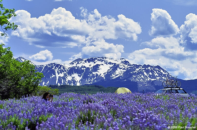 Tbd Whiteley Road Placerville, CO 81430 - Photo 2 of 35 crlo7catland