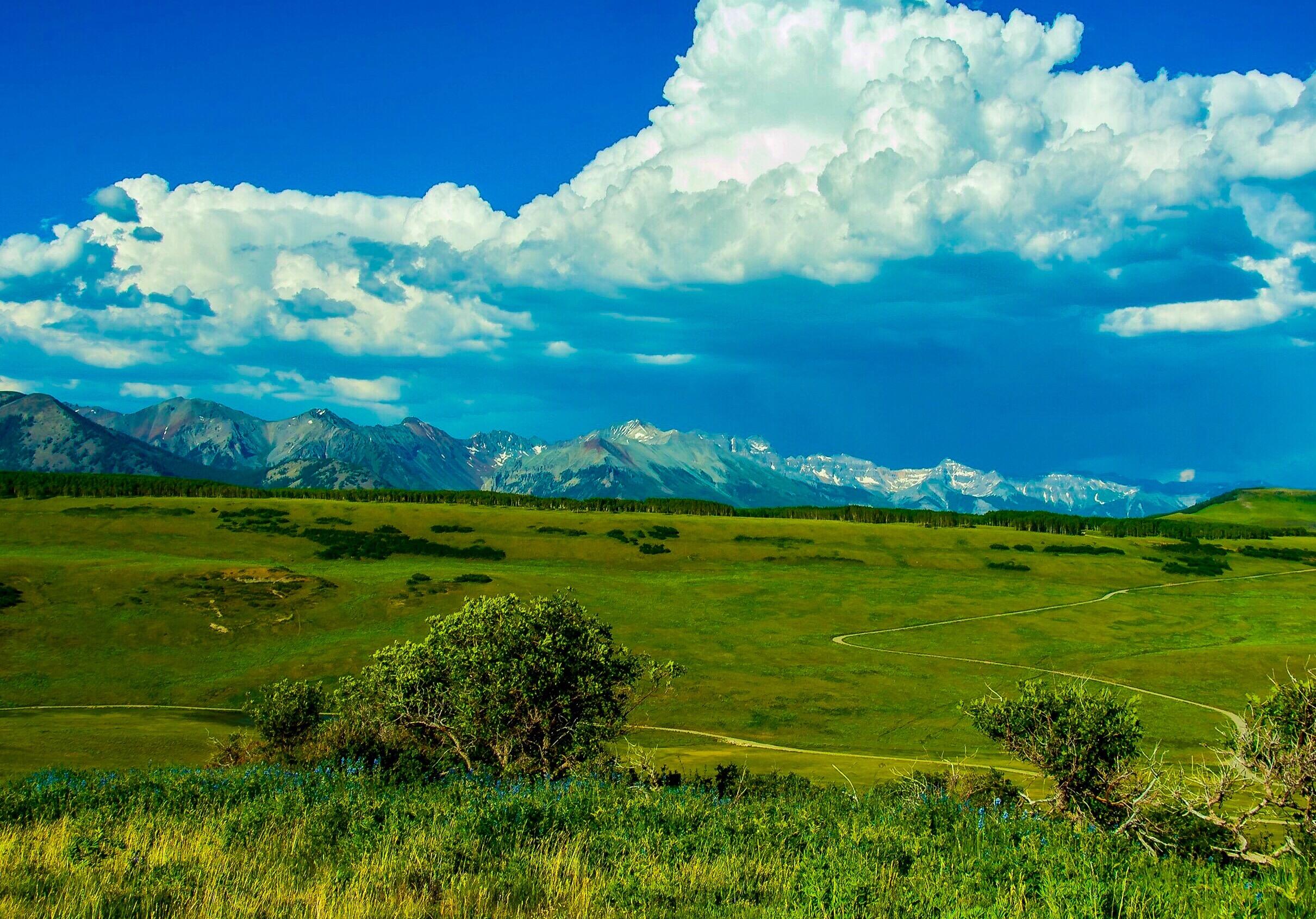 Tbd Whiteley Road Placerville, CO 81430 - Photo 4 of 35 Looking east toward Telluride