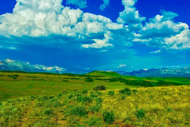 $1,100,000 | Tbd Whiteley Road, Placerville, CO 81430