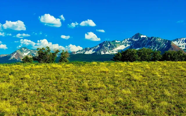 $1,100,000 | Tbd Whiteley Road, Placerville, CO 81430