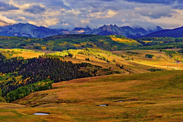 $1,100,000 | Tbd Whiteley Road, Placerville, CO 81430