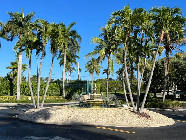 a view of a yard with a fountain and a palm tree