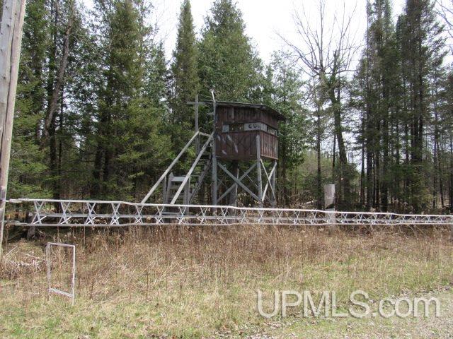 3315 Co Road Cornell, MI 49818 - Photo 19 of 50