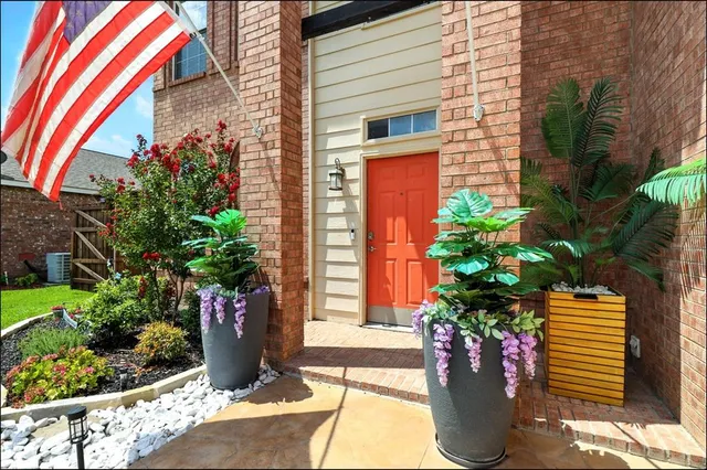 a potted plant sitting in front of a house