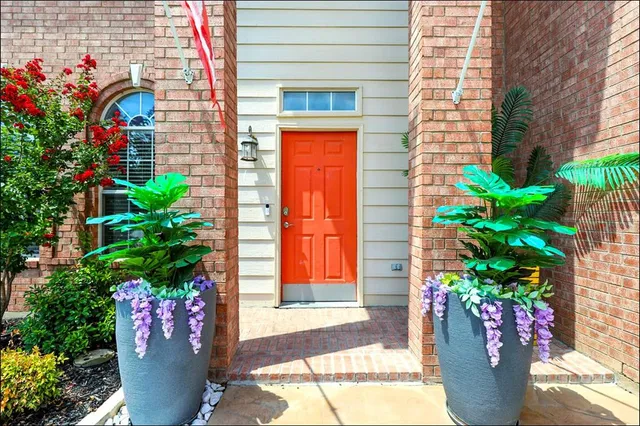 a potted plant sitting in front of a house