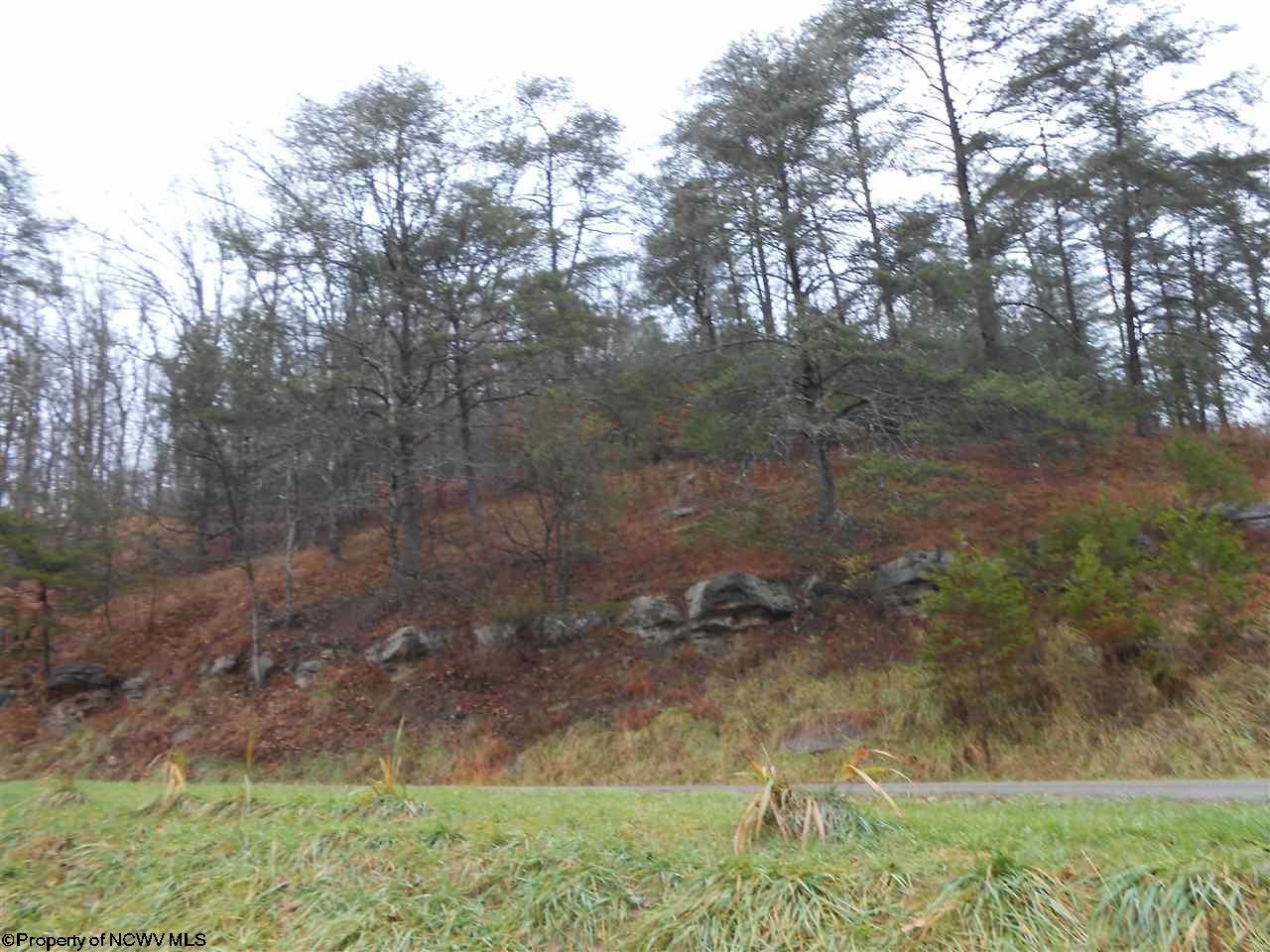 853 Grass Run Road Normantown, WV 25267 - Photo 28 of 30 Gallery Image 28
