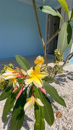 $2,800 | 1280 Southwest Jacqueline Avenue, Unit 1280, Port St. Lucie, FL 34953