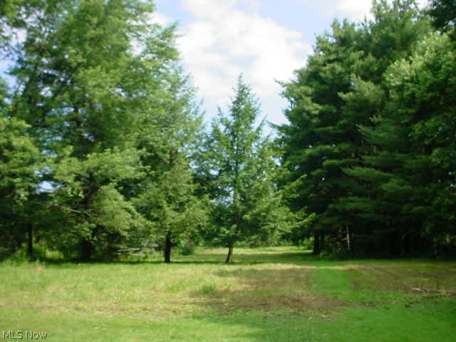3265 Reimer Road Barberton, OH 44203 - Photo 3 of 22 Gallery Image 3