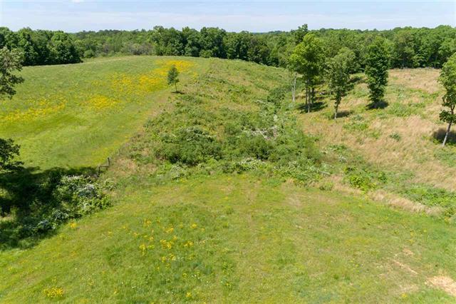 1950 Wilkinstown Road Parsons, TN 38363 - Photo 6 of 11 Gallery Image 6