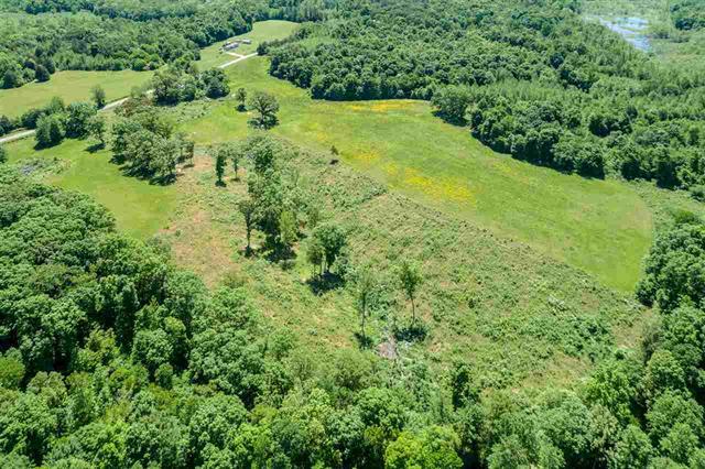 1950 Wilkinstown Road Parsons, TN 38363 - Photo 7 of 11 Gallery Image 7