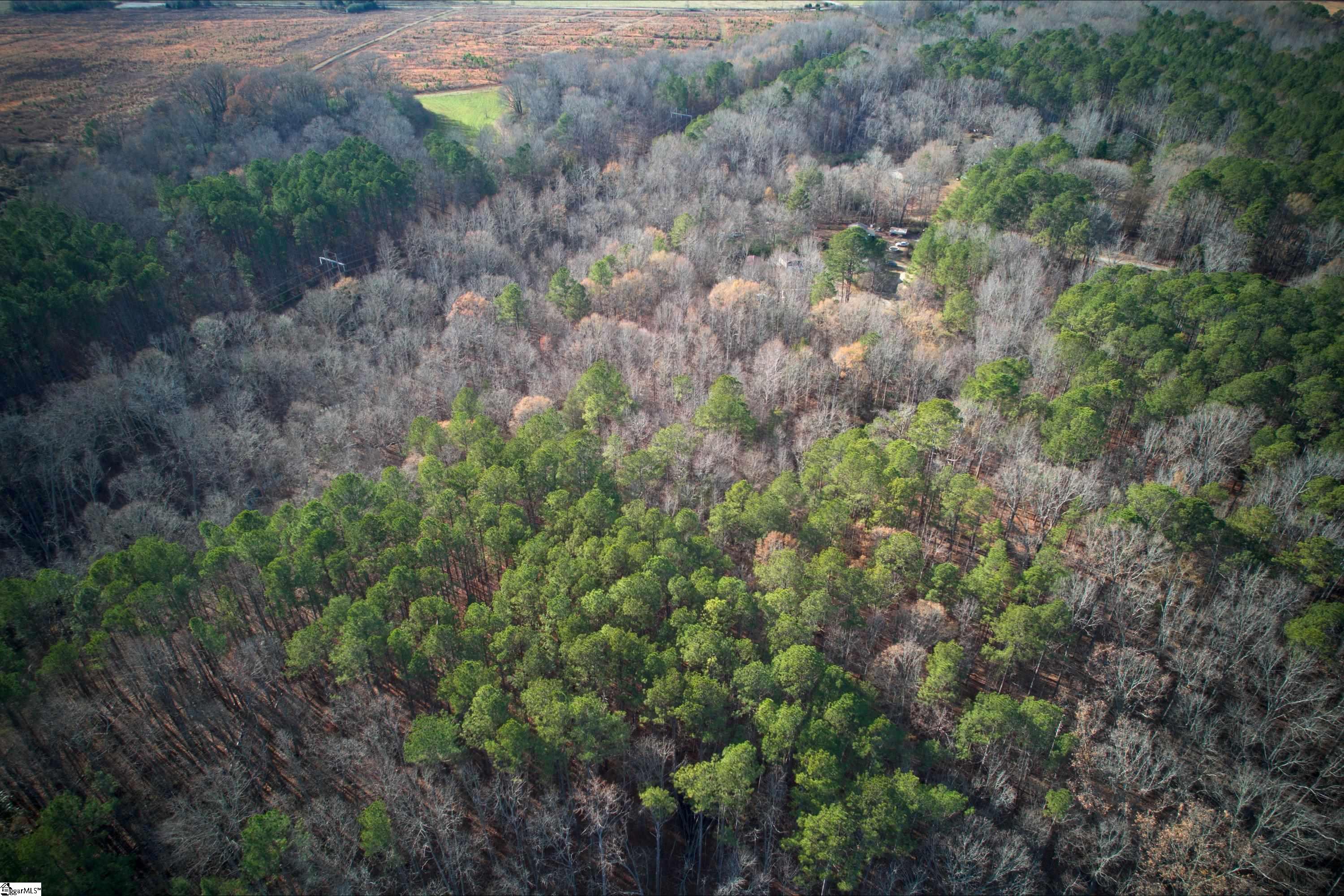 171 Ron McNair Road Mountville, SC 29370 - Photo 14 of 30