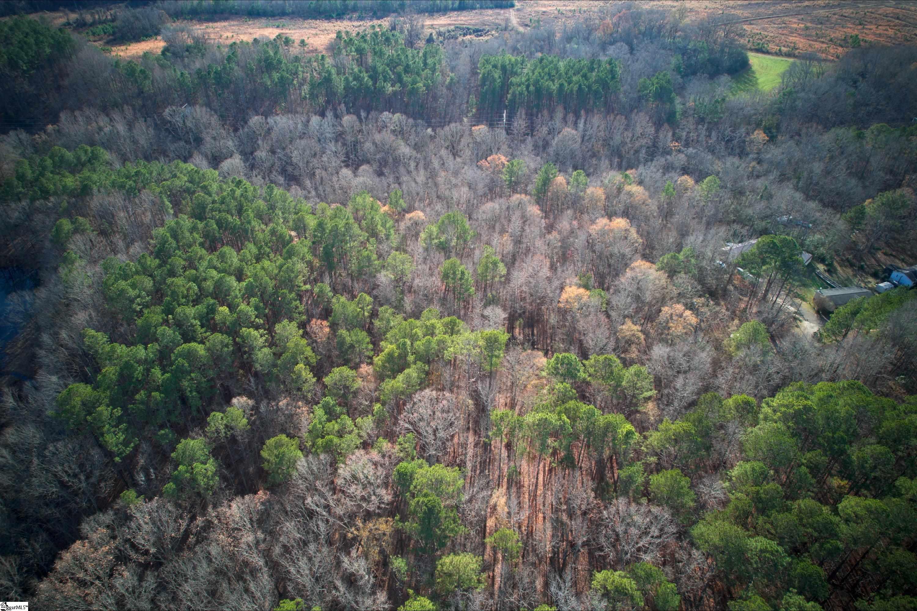171 Ron McNair Road Mountville, SC 29370 - Photo 15 of 30