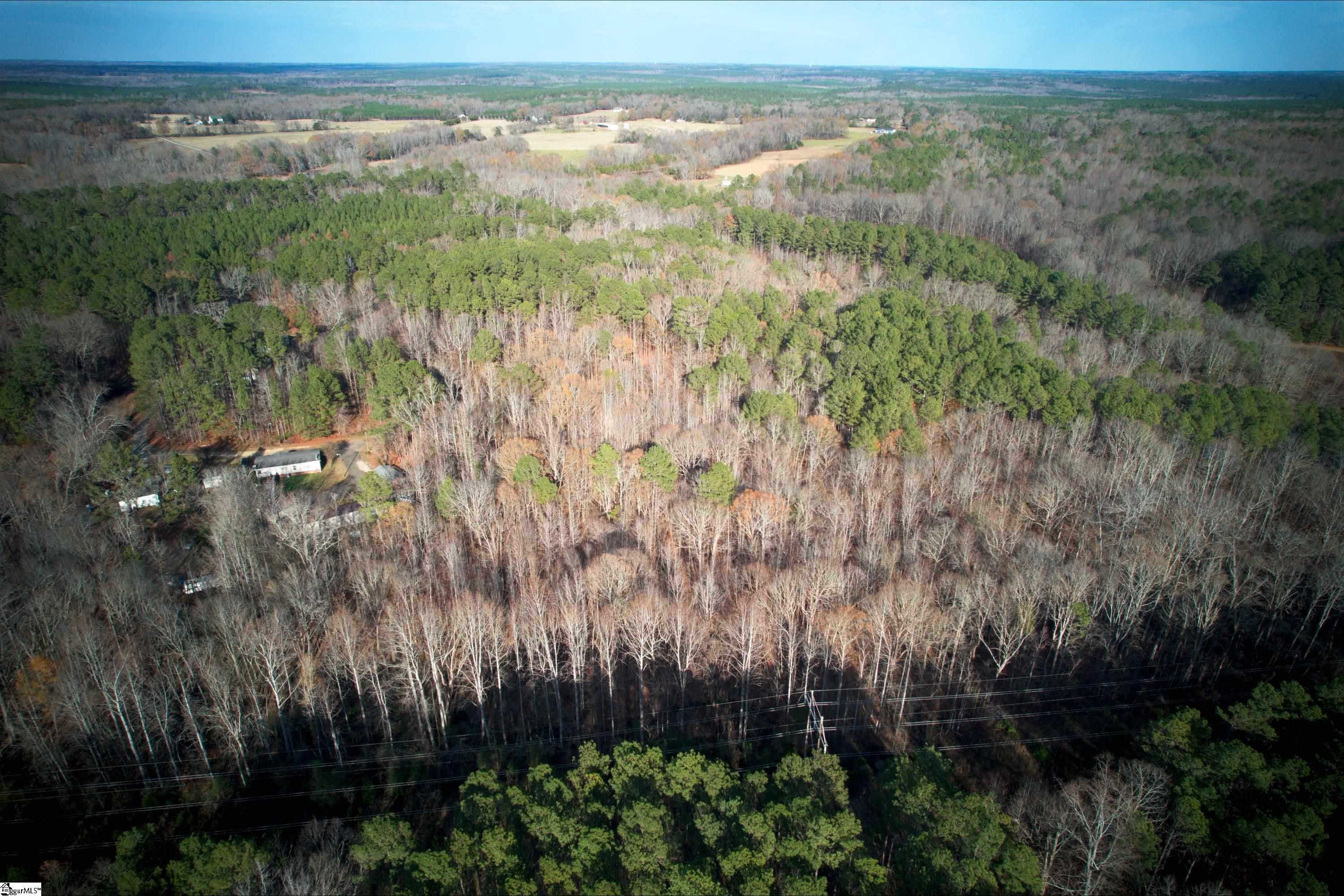 171 Ron McNair Road Mountville, SC 29370 - Photo 22 of 30
