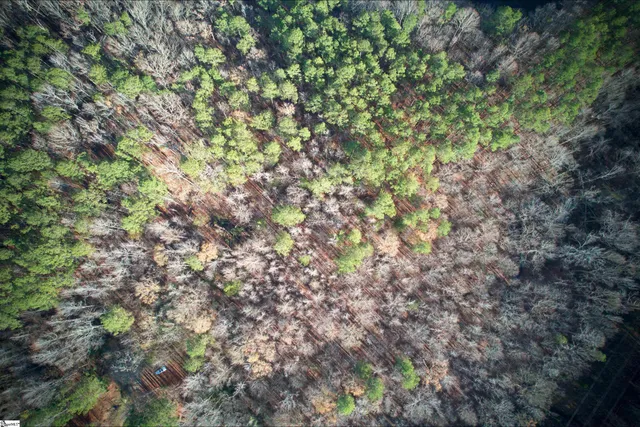 $29,000 | 171 Ron McNair Road, Mountville, SC 29370