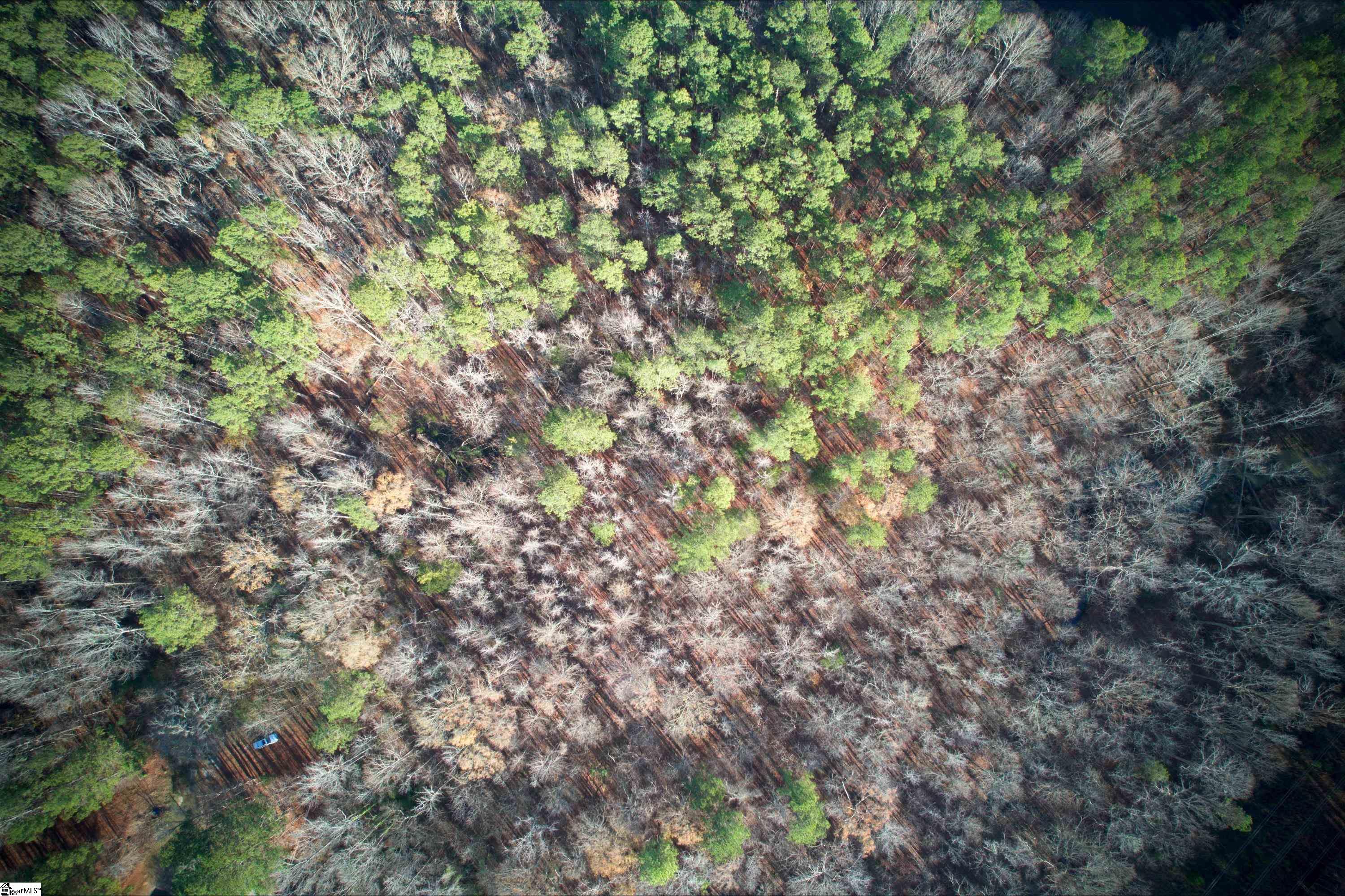 171 Ron McNair Road Mountville, SC 29370 - Photo 6 of 30