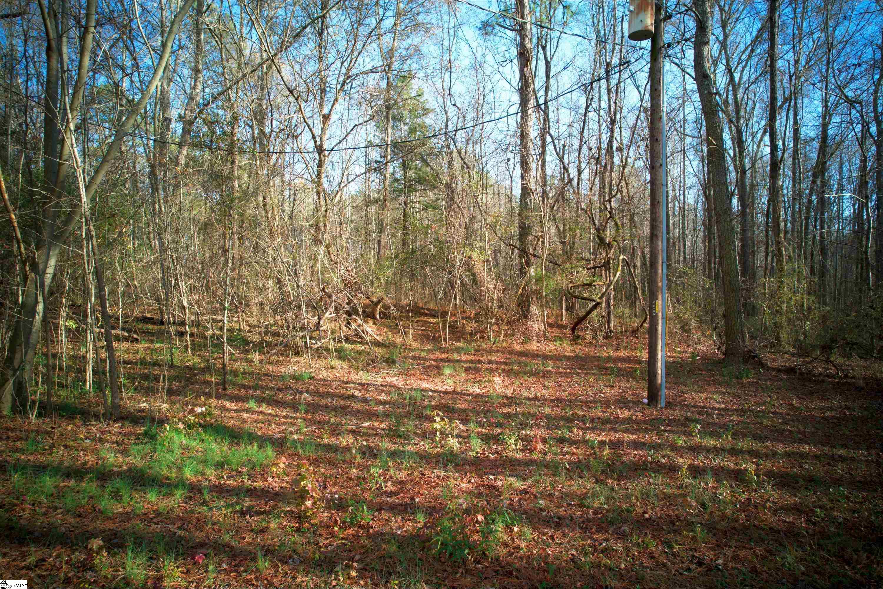 171 Ron McNair Road Mountville, SC 29370 - Photo 7 of 30